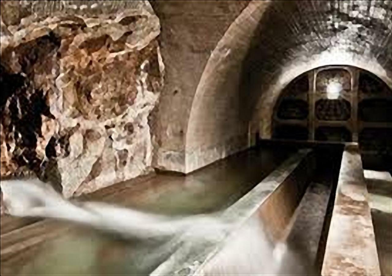 La Casa Di Nena Vivo d'Orcia